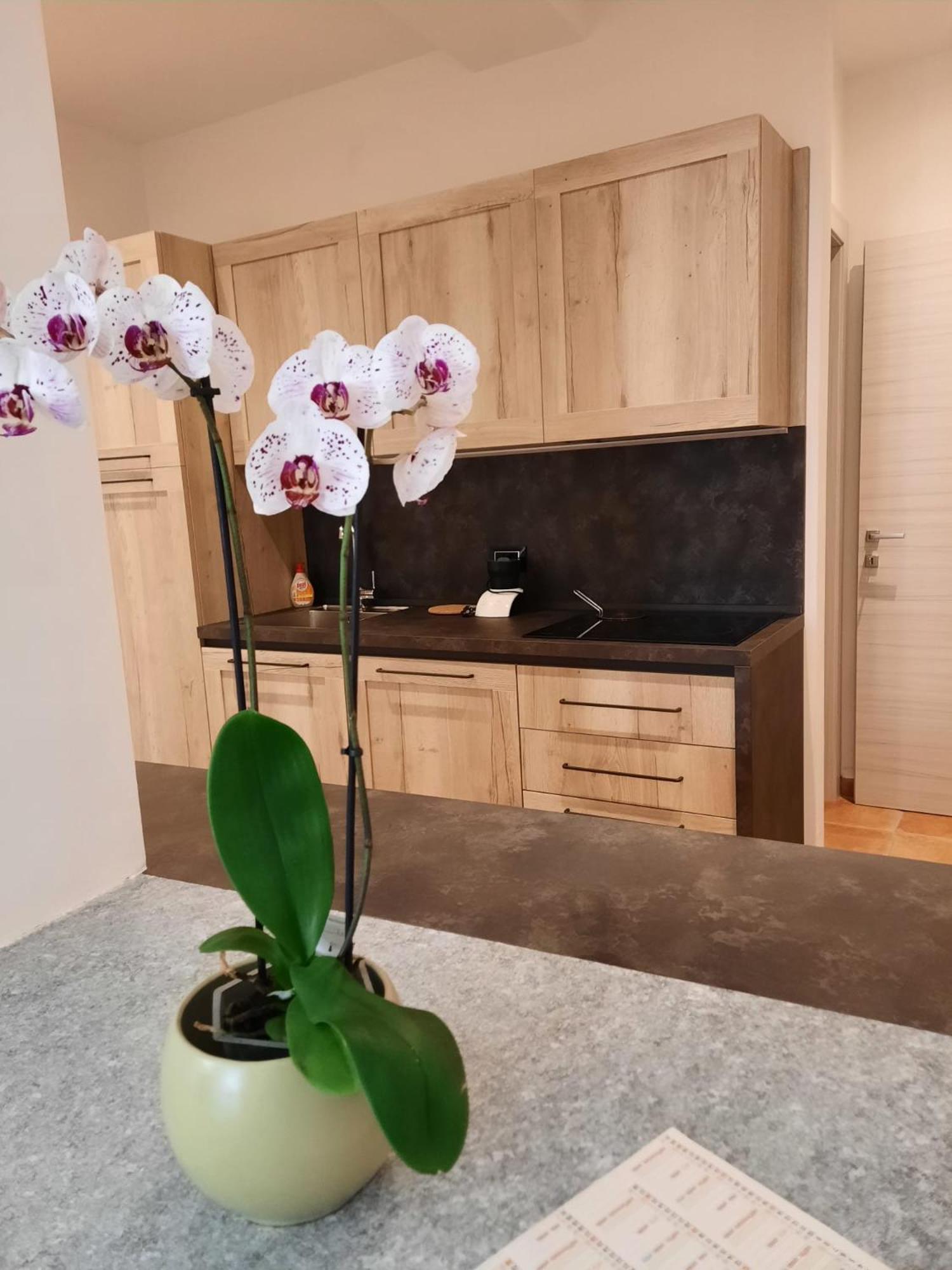 Le Coccinelle Home 만델로델라리오 외부 사진